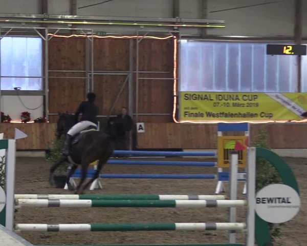Reitturnier Südlohn-Oeding 2018