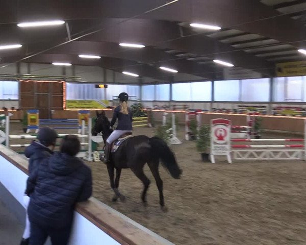 Reitturnier Südlohn-Oeding 2018