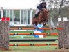 jumper Bargentinus (KWPN (Royal Dutch Sporthorse), 2006, from Argentinus)