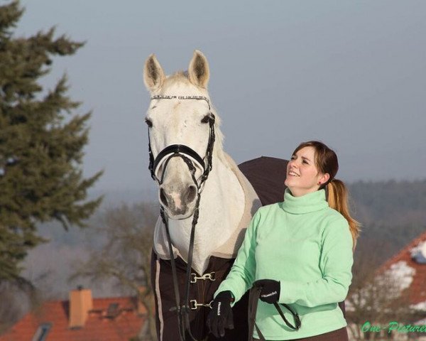 Pferd Samiro (Lipizzaner, 1987)