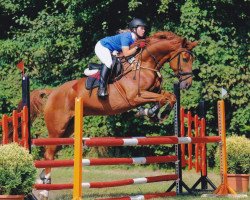 jumper Little Lion Man (German Sport Horse, 2010, from Levistano)