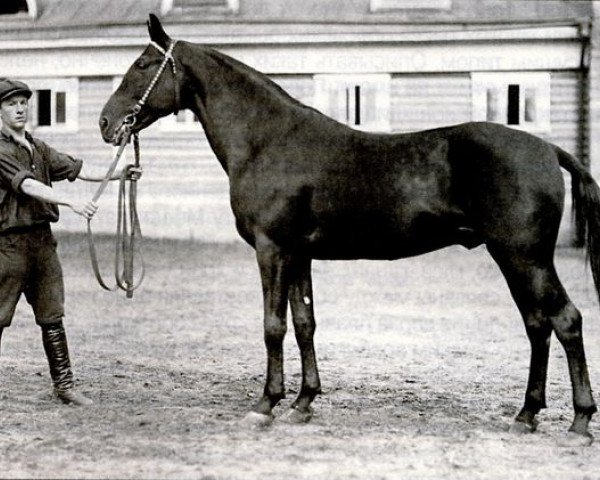 Deckhengst Metsenat (Orlow-Traber, 1914, von Mentik)