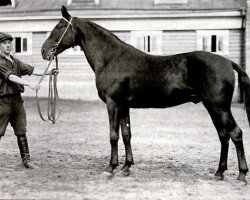 stallion Metsenat (Orlov Trotter, 1914, from Mentik)