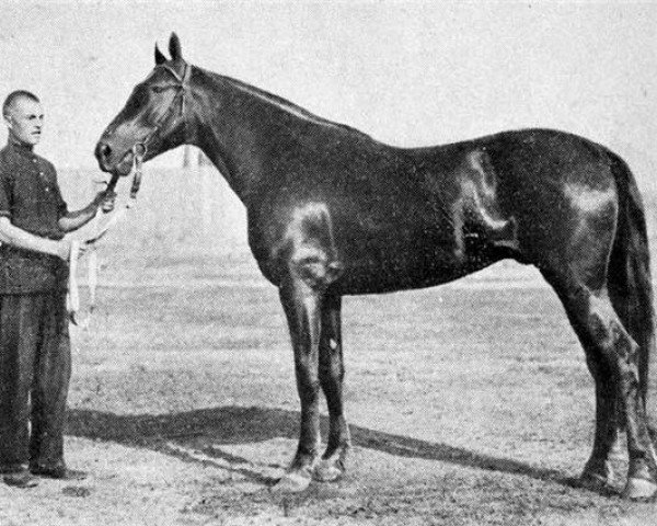 stallion Bars (Orlov Trotter, 1932, from Metsenat)