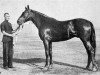 stallion Bars (Orlov Trotter, 1932, from Metsenat)