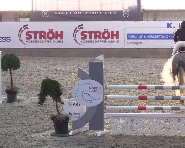 Nordic Jumping events 2018