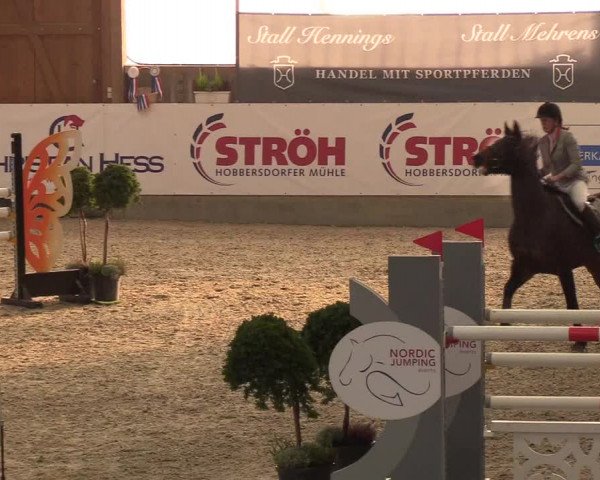 Nordic Jumping events 2018