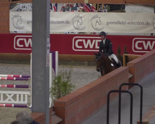 Reitturnier Mönchengladbach-Wickrath 2018