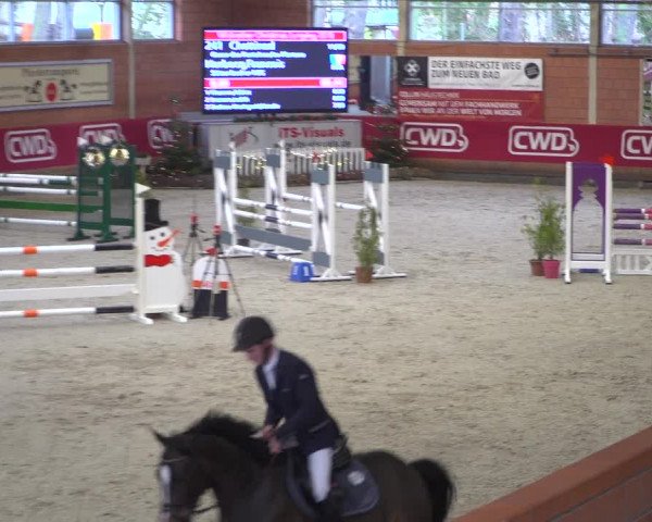 Reitturnier Mönchengladbach-Wickrath 2018