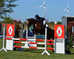 jumper Danubertha (KWPN (Royal Dutch Sporthorse), 2008, from Vittorio)