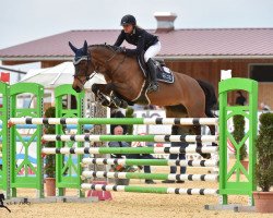 jumper Titania (Zweibrücken, 2007, from Le Roi 10)