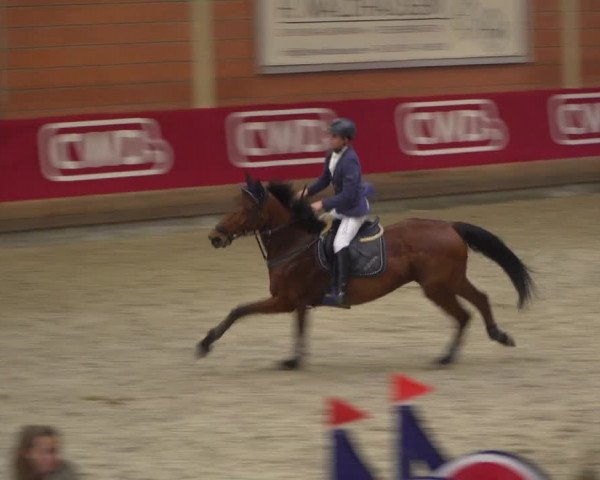 Reitturnier Mönchengladbach-Wickrath 2018