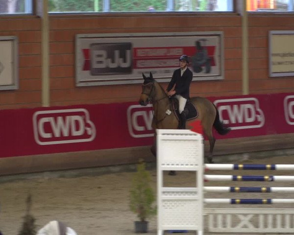 Reitturnier Mönchengladbach-Wickrath 2018