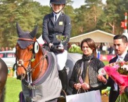 jumper Seraja (New Forest Pony, 2007, from Kantje's Ronaldo)