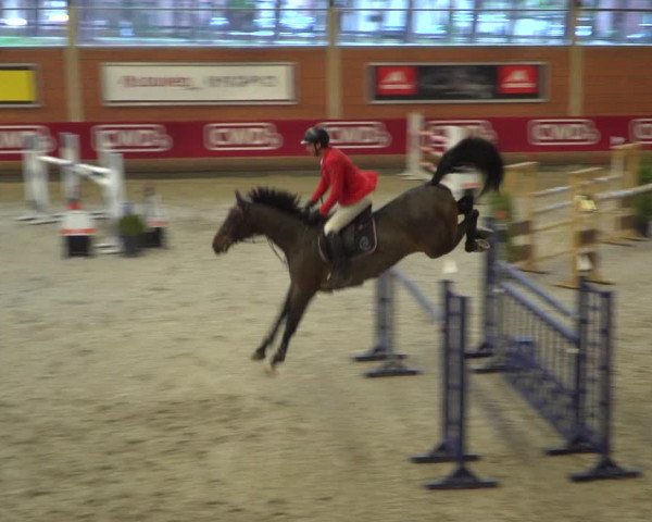Reitturnier Mönchengladbach-Wickrath 2018