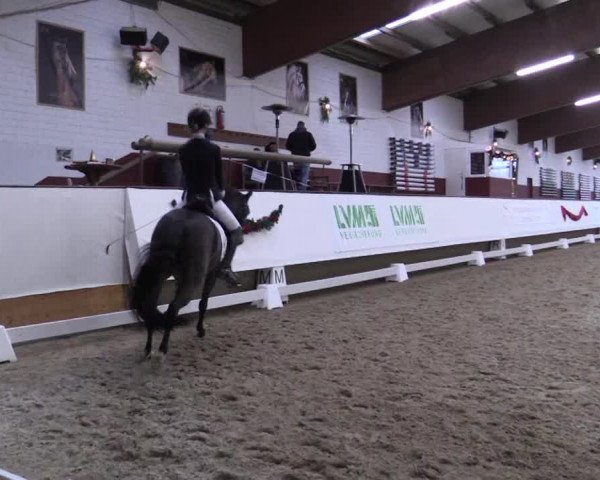 Reitturnier Alt Marl 2018