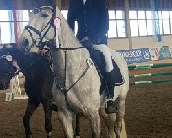 broodmare Cayenne 219 (Oldenburg show jumper, 2010, from Cornet's Stern)