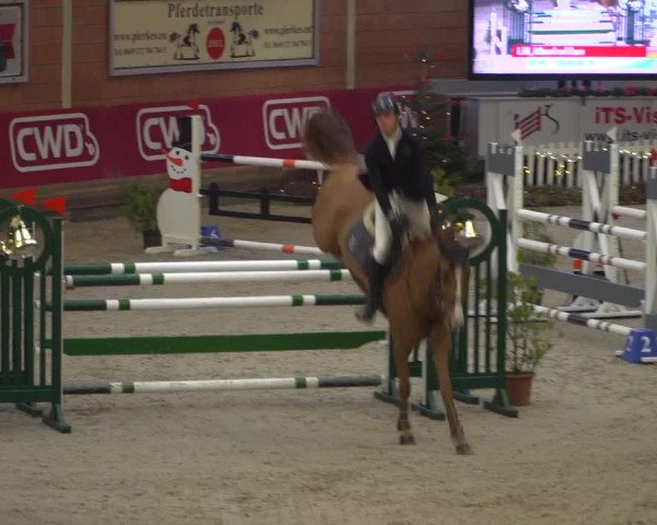 Reitturnier Mönchengladbach-Wickrath 2018