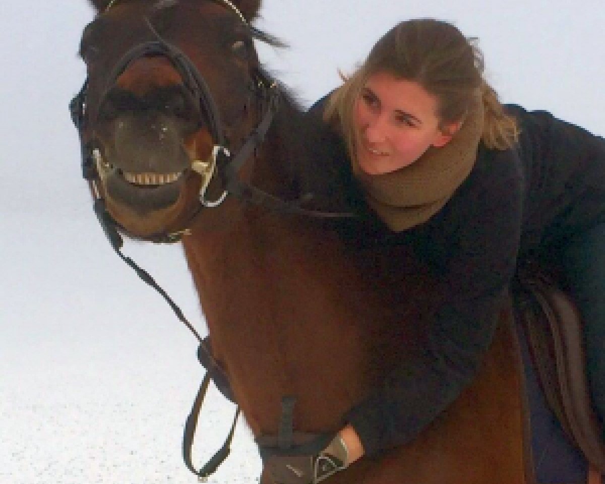 dressage horse Distelzauber 2 (Trakehner, 2005, from Hofrat)