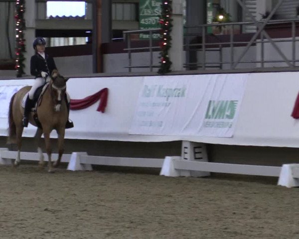 Reitturnier Alt Marl 2018