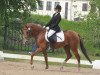 dressage horse Merle (German Riding Pony, 2007, from Merlin)