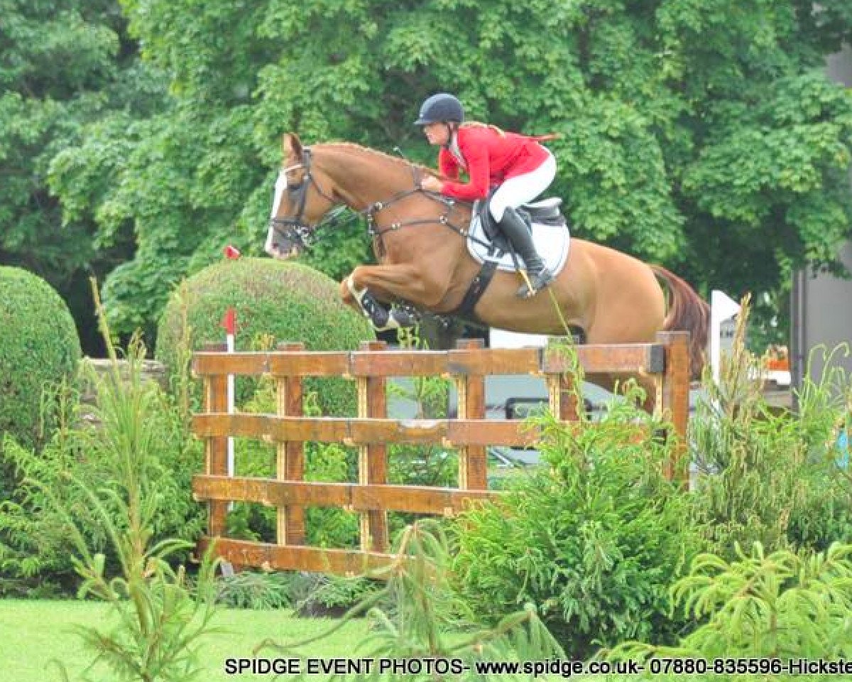 Springpferd Willem de Lux (KWPN (Niederländisches Warmblut), 2003, von Lupicor)