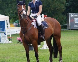 broodmare Allenger (KWPN (Royal Dutch Sporthorse), 2005, from Royal Bravour)