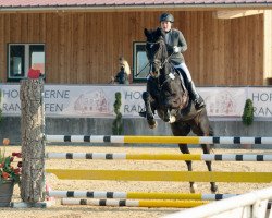 jumper Leviano (Hanoverian, 2011, from Levistano)