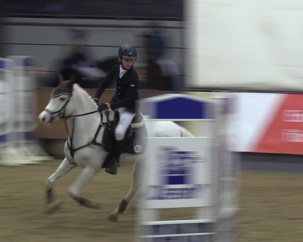 Reitturnier Münster-Handorf 2018