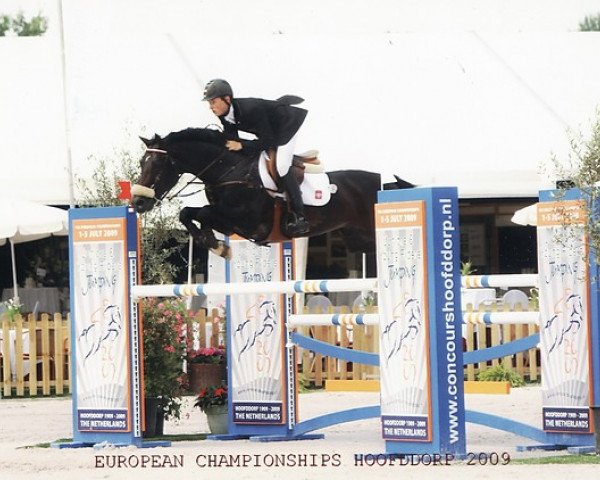 jumper Vandamme (KWPN (Royal Dutch Sporthorse), 2002, from Guidam)