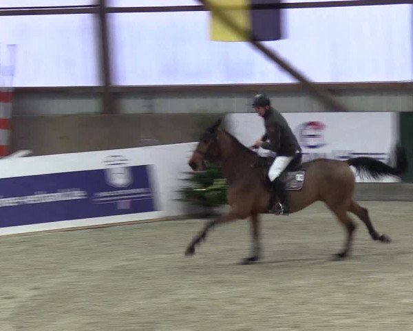 Nordic Jumping events 2018