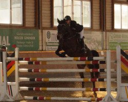 jumper Balisto von Ludwigsburg (German Sport Horse, 2008, from Lord Ludwigsburg)