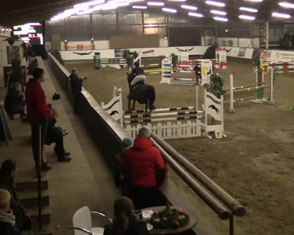 Reitturnier Alt Marl 2018