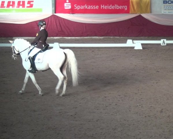 Reitturnier Eppelheim 2019