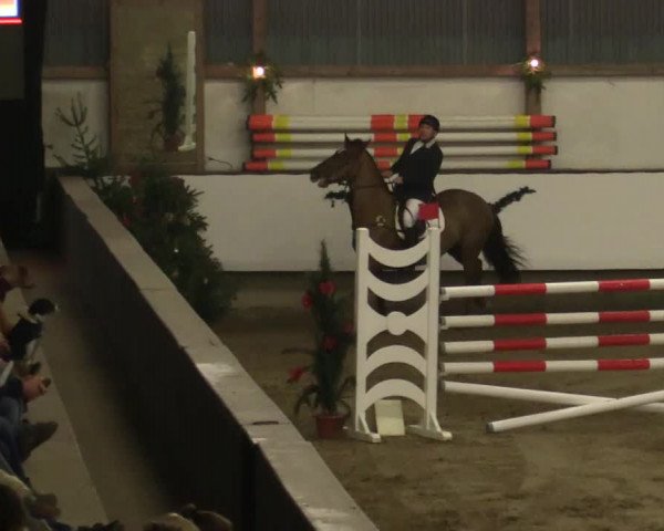 Reitturnier Alt Marl 2018