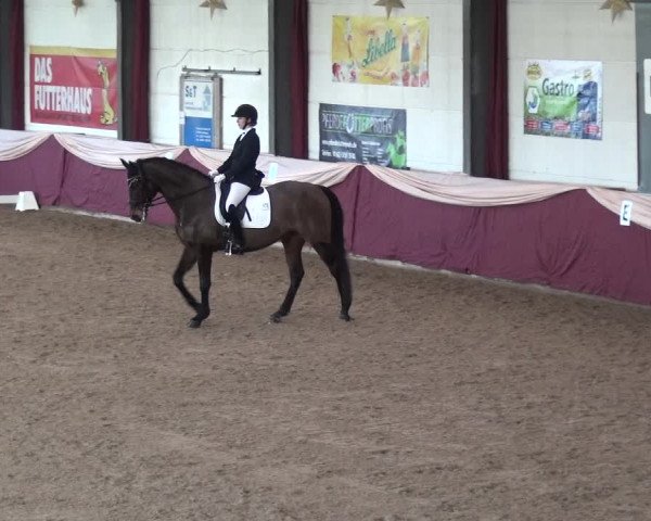 Reitturnier Eppelheim 2019