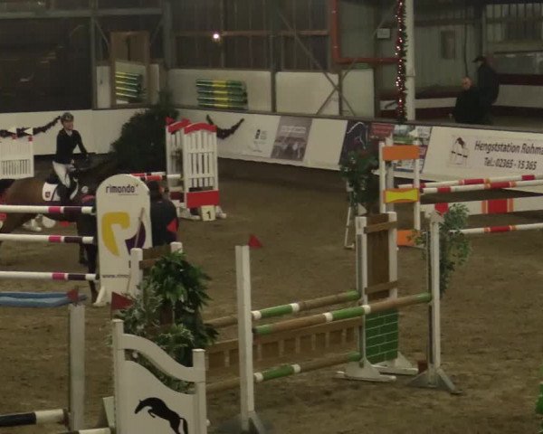 Reitturnier Alt Marl 2018