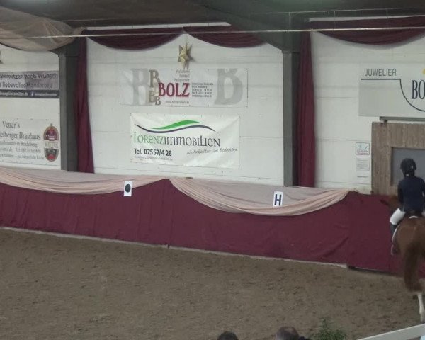 Reitturnier Eppelheim 2019