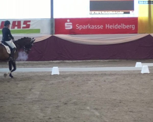 Reitturnier Eppelheim 2019