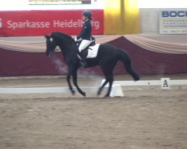 Reitturnier Eppelheim 2019