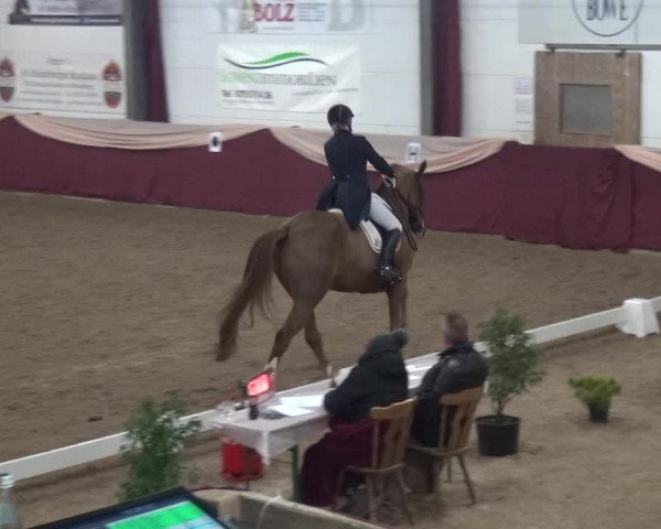Reitturnier Eppelheim 2019