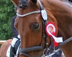 dressage horse Agatha Christie (Westfale, 2007, from Argentinus)