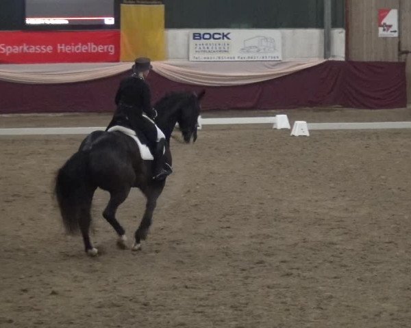 Reitturnier Eppelheim 2019