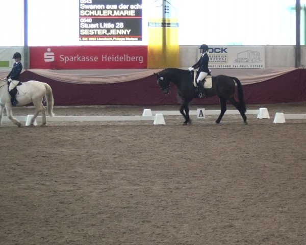 Reitturnier Eppelheim 2019