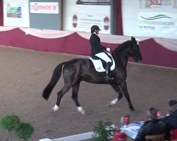 Reitturnier Eppelheim 2019