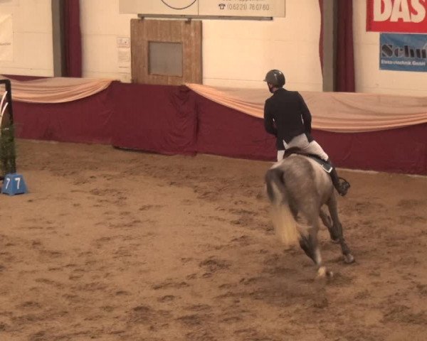 Reitturnier Eppelheim 2019