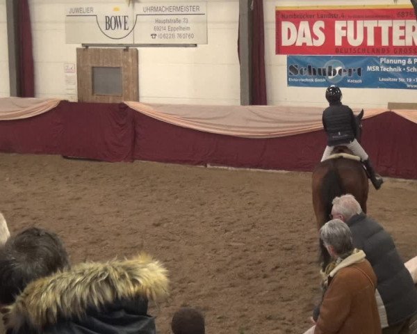 Reitturnier Eppelheim 2019