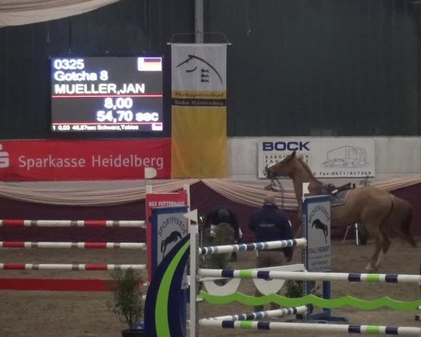 Reitturnier Eppelheim 2019