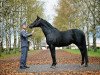 stallion Don Corleone xx (Thoroughbred, 1992, from Caerleon xx)