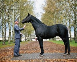 stallion Don Corleone xx (Thoroughbred, 1992, from Caerleon xx)